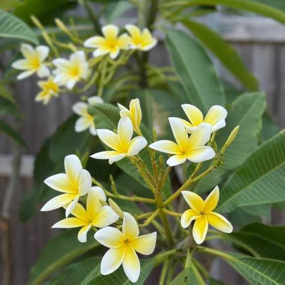 Meet your Posher, Lori - Picture 1 of 1